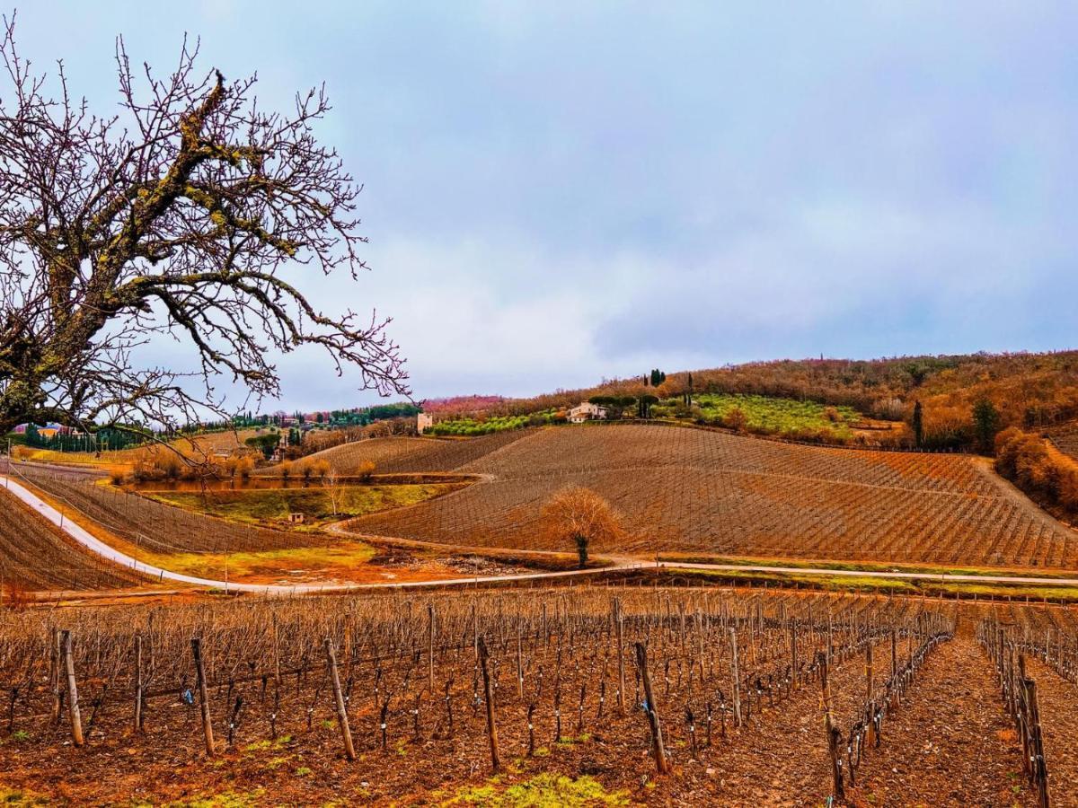 Locanda Podere Le Vigne 라다인키안티 외부 사진