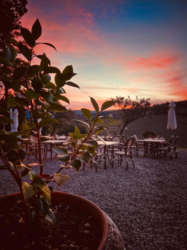 Locanda Podere Le Vigne 라다인키안티 외부 사진